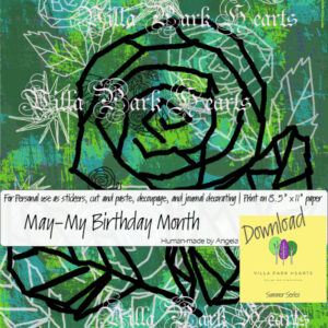 May-My Birthday Month Rose